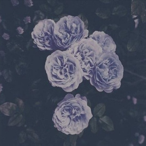 女畜养殖基地1-10
